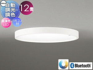 Ɩ  CgI[fbN ODELIC T[JfBAFV[OCg OL291621CR dF`AY[F ƓxZT[t BluetoothΉ@ ` 12 Rt ̃Y𐮂