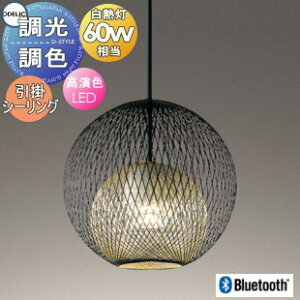 Ɩ  킢I[fbN ODELICFy_gCg OP252862BR |V[Ot iFEFj BluetoothΉ dF`F M60W iq̃p^[