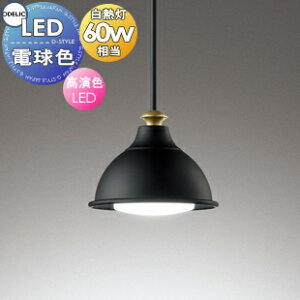 Ɩ  킢I[fbN ODELICy_gCgOP252937LR tOP252938LR _Ng[pA~iFjdFM60W ʂȃJ[OŐH̏ʂy_g