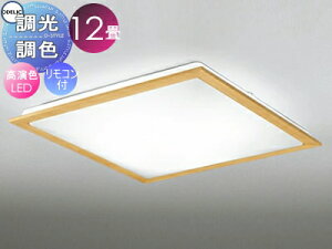 I[fbN ODELIC FV[OCg OL251629R ؍ރi`F FLED dF`F cotی`|V[Ot Rt `12 VR؃t[̃X^_[hȃfU