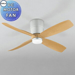 I[fbN ODELIC V[Ot@ DC[^[t@V[Y WF071 ؒi`F {́mtn 4H RpNgDCt@ؒHf Rt