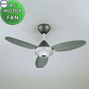 I[fbN ODELIC V[Ot@ AC[^[t@V[Y WF505P1 }bgVo[FA_[NVo[F { 3H \tgȃRe|[fUC Rt ɂ