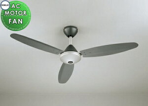 I[fbN ODELIC V[Ot@ AC[^[t@V[Y WF506P1 }bgVo[FA_[NVo[F { 3H \tgȃRe|[fUC Rt ɂ