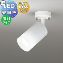 楽天市場】オーデリック スポットライト 100wの通販