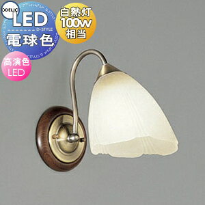 Ɩ I[fbN ODELIC uPbgCg OB080246LR dF |^JuYbL ؍ރI[NF FLEDEM100W