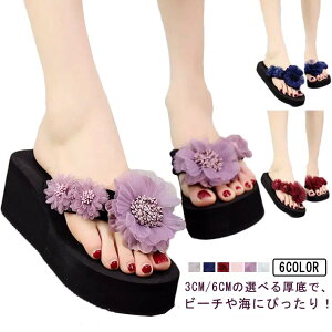 tbg r[`T_ fB[X s ԕ 3cm/6cm i T_ y gOT_ t[l  ؂   fB[X q[ r r  C r