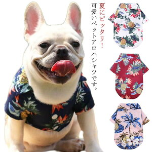  JWAVc hbOEFA Vc ԕVc AnVc ^ J݃Vc Vc gbvX ĕ ^ ^ {^jJ ybgEFA nCA C r[` ][g