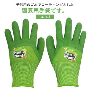 | LbYp qp K[fO[u j̎q ̎q S @  ZOwK 4-8 wNp Ǝ K[fp |p gQh~ hh~ ԐA ~ 