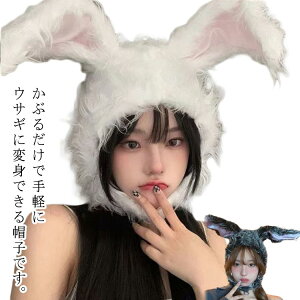  Ԃ e 蕨 ETM nEB RXv  fB[X Xq Aj}   h l VN  Be v[g TCY߉\ p[eB[ N
