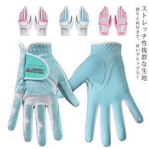 ^ Obv fB[X fB[X St p   ~  O[u  StO[u St StEGA Stp StO[u sN zCg u