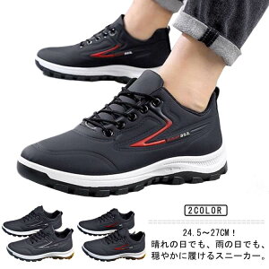 Xj[J[ Y h Xj[J[  y Jp jp hV[Y ̓ 䕗 ʋ ʊw EH[LOV[Y i JWA ^C WMO  t  H ~ 24.5