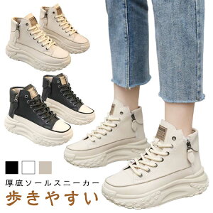 nCJbg Xj[J[ fB[X C [XAbv ₷  r r Ȃ {[ Xj[J[ ~  y ʋ ʊw X|[c JWA 