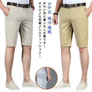 StEFA V[gpc Y 傫TCY n[tpc ʋC {gX z  Xgb` Xg[g n X rWlX i Stp X|[cp Y{ ̓ 