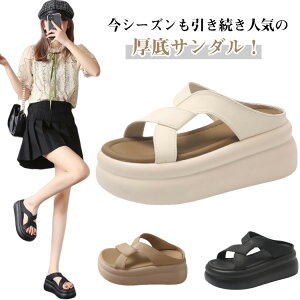 X|[cT_ T_ fB[X 7.5cmq[ tbg y RtH[g |T ₷ Xbp ƂȂ r[`T_ AEghA s r ʊw ʋ ꂢ 