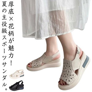 X|[cT_  fB[X ₷ RtH[gT_  ԕ y T_ EGbW\[ ɂȂ r[`T_ C Xj[J[ r AEghA X|T 