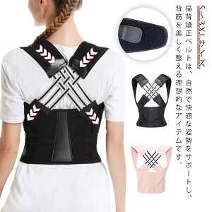 pT|[^[ T|[^[  qp Lw xg fB[X Y pxg w؋xg 傫TCY  ڗȂ pP w؃T|[^[ LwT|[