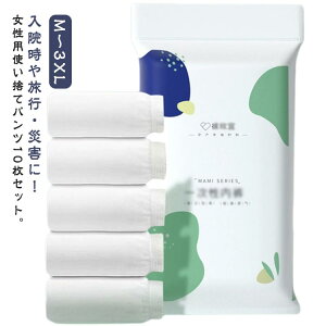 10枚入 使い捨てショーツ 使い捨てパンツ レディース 下着 インナー 携帯便利 トラベルショーツ 女性用 M〜3XL 個包装 旅行 介護 災害時 出張 施術 入院用 送料無料