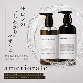 アメリオレイト シャンプートリートメント 500ml セット アミノ酸系 サロンシャンプー 美容室 トリートメント 自宅 美容院 ヘマチンシャンプー ヘアケアセット ダメージケア