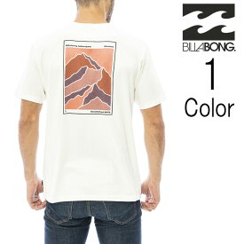 ビラボン Billabong メンズ CONTOUR SS ショートTシャツ bd011264