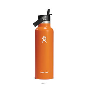 nChtXN Hydro Flask 21oz 621ml Standard Mouth Flex Straw XeX{g Xg[t Mesa