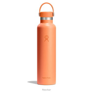 nChtXN Hydro Flask 24oz 709ml Standard Mouth XeX{g Nector