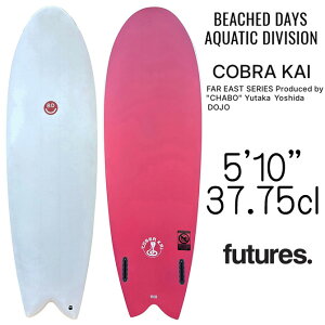 r[`hfCY ANAeBbNfBrW RuJC f G|LV{[h 178.8cm / BeachedDays Aquatic Division SoftSurfBoards Cobra Kai Model 5'10"