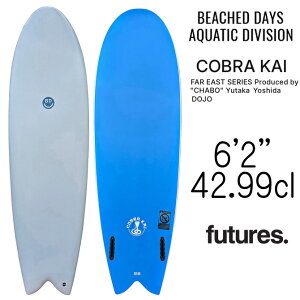 r[`hfCY ANAeBbNfBrW RuJC f G|LV{[h 188.0cm / BeachedDays Aquatic Division SoftSurfBoards Cobra Kai Model 6'2"