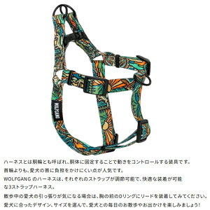 EtMO Wolfgang ChEt WildWolf Harness n[lX 