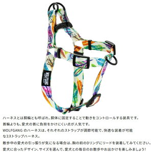 EtMO Wolfgang tFU[hth FeatheredFriend Harness n[lX 