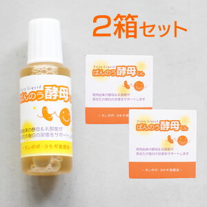 y2(12{)Zbgz΂̂yꂭ 23ml A[fA Ki t yzցz
