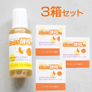 y3(18{)Zbgz΂̂yꂭ 23ml A[fA Ki t yzցz