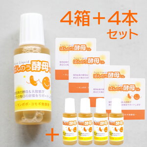 ΂̂yꂭ 23mly4(24{)Zbg{4{v[gzA[fA Ki z