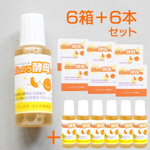 y6(36{)Zbg{6{v[gz΂̂yꂭ 23ml A[fA Ki yzցz 萔