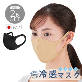 楽天市場 洗えるマスク 大きいサイズの通販