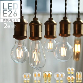 【2個セット】【調光器対応】エジソンバルブ LED 口金E26 エジソン電球 おしゃれ電球 裸電球　エジソンランプ 電球色