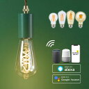 スマートLED電球 「エジソンバルブLEDスマート」 Wi-Fi電球 調光 E26 Alexa Google Home Siri対応 エジソン電球 裸電球 スマホ アプリ操作 スマート家電 スマートスピーカー AIスピーカー 音声操作 レトロ【レビューで延長保証】