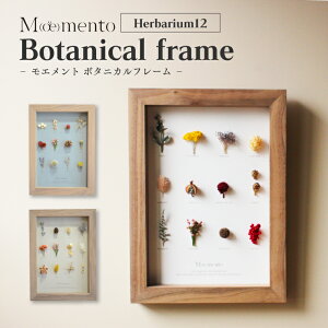 ԕt  t[t[ Moemento {^jJt[ Herbarium12 hCt[ z t[ A4 Ǌ|  킢 CeA ؐ EH[ibg C VR El