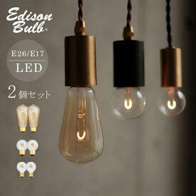 【2個セット】調光器対応 エジソンバルブLED シングル E26/E17 暗め 眩しくない 明るさ抑えめ 1本線 裸電球 ミニボール球 エジソン球 クリア ゴールド 電球色 おしゃれ かわいい レトロ LED電球 電気 ライト