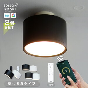 �y2�Z�b�g�z�G�W�\���X�}�[�g �~�j�V�[�����O���C�g Wi-Fi �X�}�[�g�Ɩ� LED �V��Ɩ� ���|���V�[�����O�Ɩ� �_�N�g���[���Ɩ� �������� ���� ���F �^�C�}�[�@�\ ������ IoT �_�E�����C�g �A