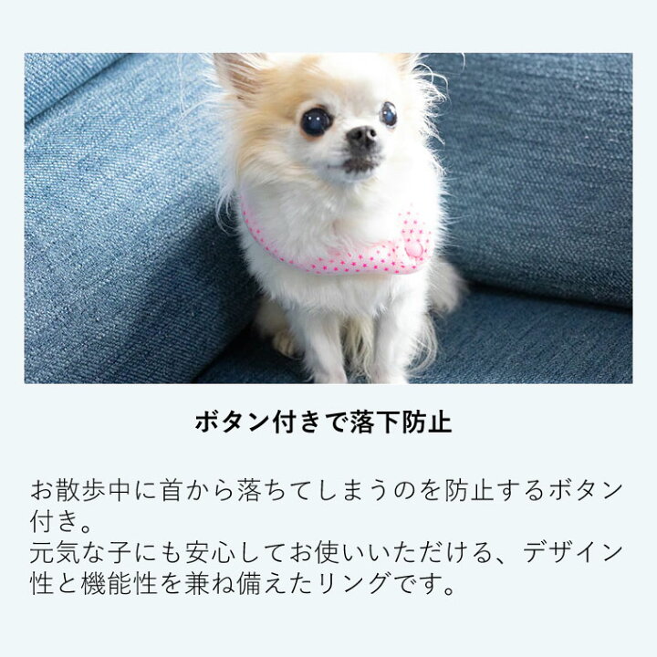 楽天市場】【正規販売店】SUO クールリング for dogs ボタン付き 28℃ ICE COOL RING Mサイズ 28℃ アイスクールリング スオ アイスリング 犬 冷感 保冷 暑さ 熱中症対策 夏 ペット用 ひんやり クール バンド かわいい おしゃれ お揃い お散歩グッズ 繰り返し使える 小型犬 ... 楽天市場】【正規販売店】SUO クールリング for dogs ボタン付き 28℃ ICE COOL RING Mサイズ 28℃ アイスクールリング スオ アイスリング 犬 冷感 保冷 暑さ 熱中症対策 夏 ペット用 ひんやり クール バンド かわいい おしゃれ お揃い お散歩グッズ 繰り返し使える 小型犬 ...