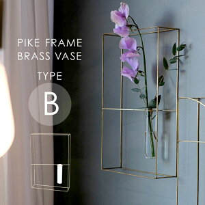 PIKE sP t[uXx[X B t[x[X KXx[X Ǘp ǖ u^  ԓ ֑} Ԃт  O[ S[h NA k ؍ CeA 傫 p^  