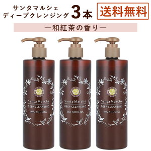 y3{ZbgzT^}VF fB[vNWO ag̍ 400g×3 NWOWF CNƂ AR[t[ mIC ICt[ _usv ь  玉 