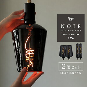 2Zbg E26 LED d m[ ^ 傫 rbOTCY LEDd Ή [WTCY CpNg  X ^ {g^ r^ BIG TUBE ~^ `[u GW\ou LED NOIR u