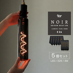 5Zbg GW\ouLED m[ E26 LEDd v X {g^ BIG`[u ` d  傫 rbO [W Of X܏Ɩ CeA ubN KX F dF