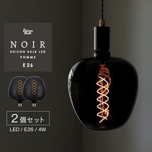 2�Z�b�g E26 LED �d�� �m���[�� �|�� POMME ��^ �傫�� �r�b�O�T�C�Y LED�d�� ������Ή� �C���p�N�g ������ �{�[���� �G�W�\���o���u LED NOIR �u���b�N �K���X ���� ���������� ῂ����Ȃ� �Â� 