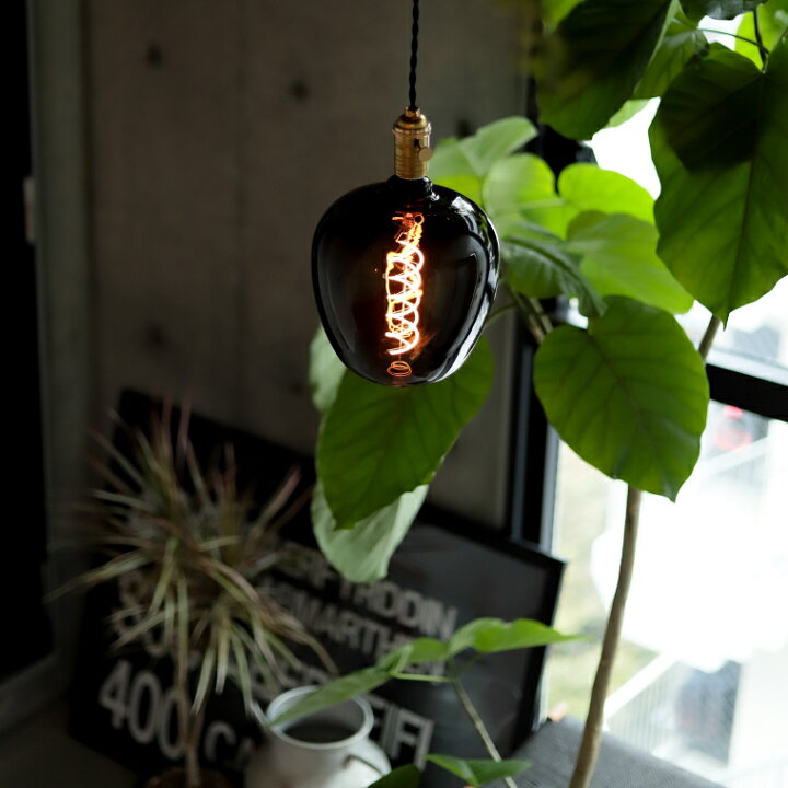 楽天市場】5個セット エジソンバルブLED ノワール E26 LED電球 ポム 
