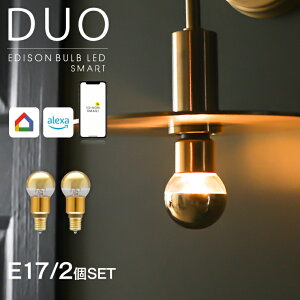 【2個セット】スマートLED電球 ハーフミラー ゴールド エジソンバルブLEDスマート DUO エジソンスマート 口金E26 E17 ボール球 ボール型ハーフミラー 金鏡面 ドーム 間接照明 眩しくない 冷暖調