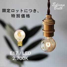 edisonledsg2700_1.jpg?fitin= 