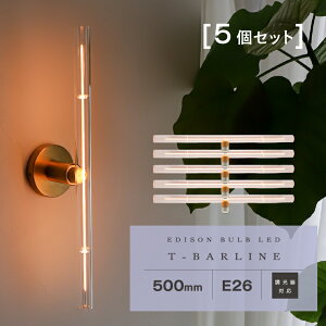 Ή GW\ouLED To[C 300mm/500mm E26 LEDd d  c px ]  LEDtBg S 2000K dF gF NA KX 傫 I j[N Ce