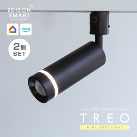 【通常14,960円⇒SALE】【2個セット】LED スポットライト ダクトレール 間接照明になる エジソンスマート TREO ミニスポットライト 電球色 昼光色 昼白色 白色 調色 調光 Wi-Fi アプリ スマートフォン 遠隔操作 音声操作 アレクサ Google Home Siri スマート照明